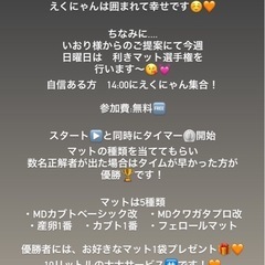 えくにゃん福岡　店舗イベント🧡