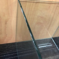 ◆早い方優先!! 水槽①の画像