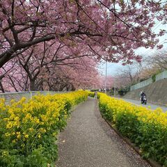 🆘🆘人員不足につき急募です❗❗短期から出来る建築系軽作業🆘🆘