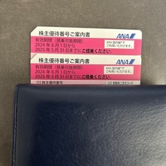 ANA 株主優待