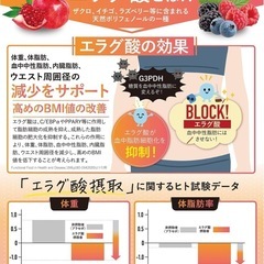 カロリンピュア 肥満 体脂肪 中性脂肪 内臓脂肪 ウエスト 改善に役立つ 60粒 サプリメントの画像