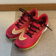 NIKE 26.5cm交渉中