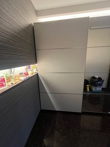 IKEAPAX 扉のみ