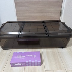 【ほぼ新品】カインズ キャリコオレア 浅型 クリアブラウン　40...