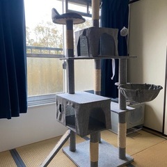 猫タワーの画像
