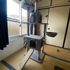 猫タワーの画像