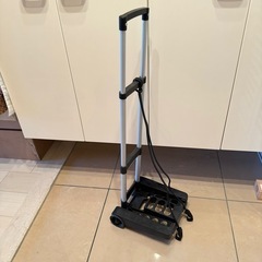 ※決まりました　【2月28日引き取り限定】折りたたみカート　荷台