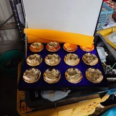 12支金杯24GP