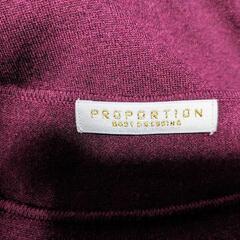 ワンピースの画像