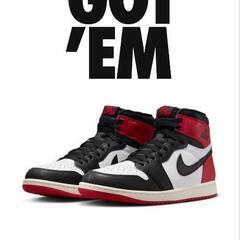 2/23までの掲載です　26.0cm  Nike Air Jor...