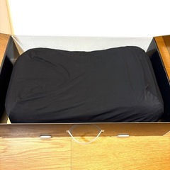 新品未使用 ヒツジのいらない枕 BIGサイズ 最上位モデル 極柔 ブラックレーベル 枕カバー付の画像