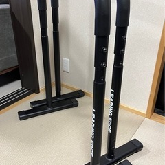 ディップスバー　LEADING EDGE