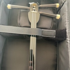 【超美品】沖縄三線　本蛇皮使用の画像