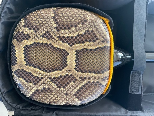 【超美品】沖縄三線　本蛇皮使用