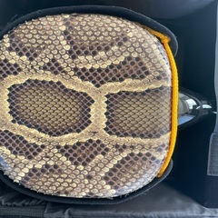 【超美品】沖縄三線　本蛇皮使用の画像