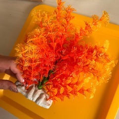 水槽用品