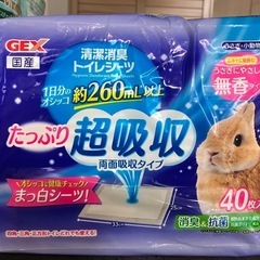 うさぎ　飼育セットの画像