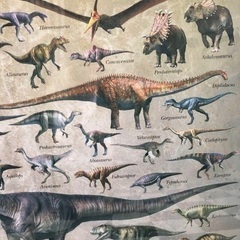 恐竜展 特大 恐竜ポスター 恐竜 絵画 イラスト アート A1額縁入りの画像