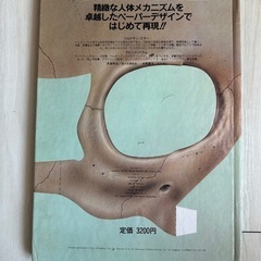  ヒトのからだ　立体・人体構造図　ほるぷ出版の画像