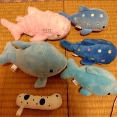 ☆イルカ＆ジンベエザメ＆チンアナゴぬいぐるみセット☆の画像