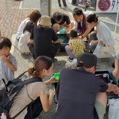 2025年　第一回、にしかたメダカフェス開催❇️　めだか - 栃木市