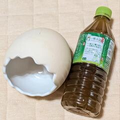 ハムスター 卵ハウス