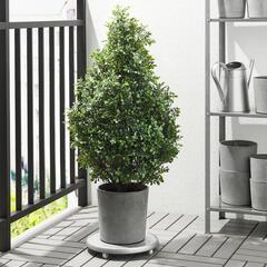 【新品同様】IKEA 鉢カバー おしゃれ ボイセンベール 19cmの画像