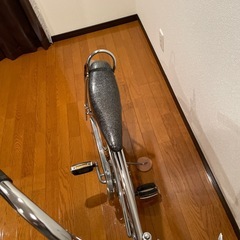 ローチャリの画像