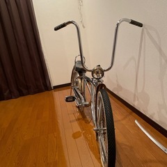 ローチャリの画像