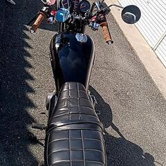 GSX250L（アメザリ）  プチカスカム済の画像