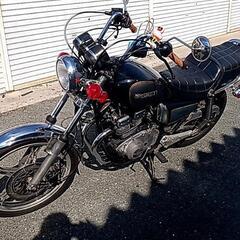 GSX250L（アメザリ）  プチカスカム済の画像