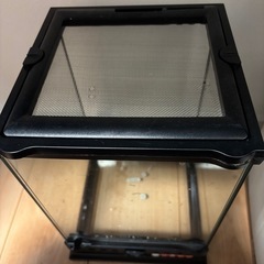 エキゾテラ　ナノ　ゲージ　　