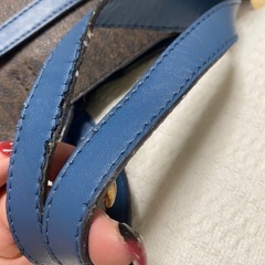 マイケルコース②の画像