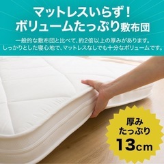 美品/　ニトリのマットレス& い草のマットレスの画像