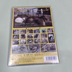 新品未開封　DVD  「谷中のら猫ラプソディー だんだん猫10年の記録」の画像