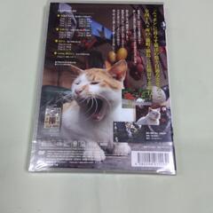新品未開封 DVD「のら猫ニッポン 長崎・尾道から江ノ島・函館まで」の画像