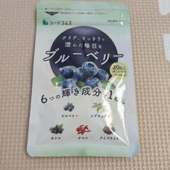 ブルーベリー　30日分　新品