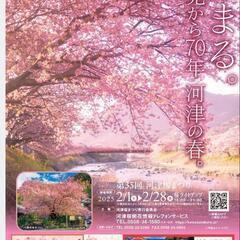 河津桜まつりへ！