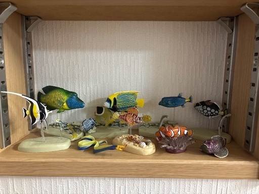 美ら海水族館セット