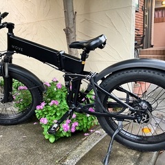 move X 電動アシスト自転車 E bike