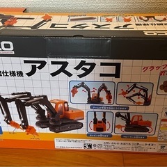 特大　アスタコの画像