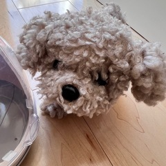3coins♡犬 動くぬいぐるみの画像