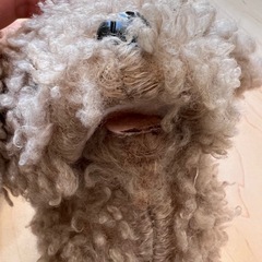3coins♡犬 動くぬいぐるみの画像