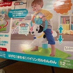 101匹ワンチャンの画像