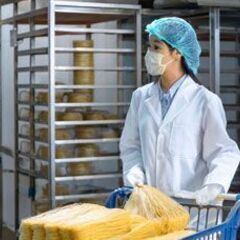 【西崎】食品工場の麺類製造の補助スタッフの画像