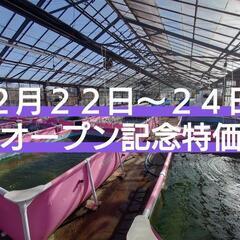 AQUAファーム無人販売所　メダカ、金魚、ミジンコ養魚場直送 - 飯能市