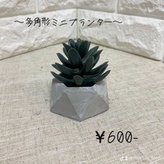 モルタル雑貨　ミニプランター