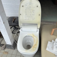 トイレ　アラウーノ　の画像