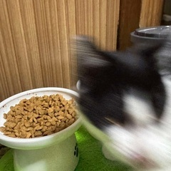オス4ヶ月