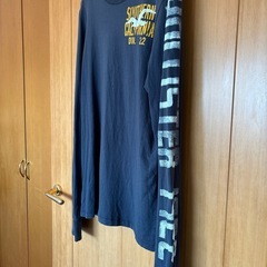 ⑨HOLLISTER ロンTの画像